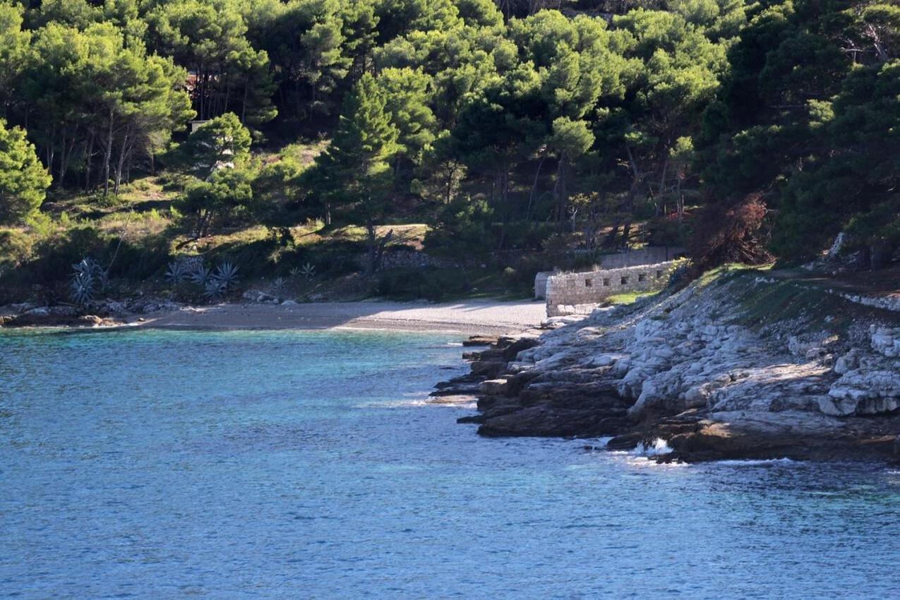 Apartments Zoki - Great Location Close To The Sea Vis Kültér fotó